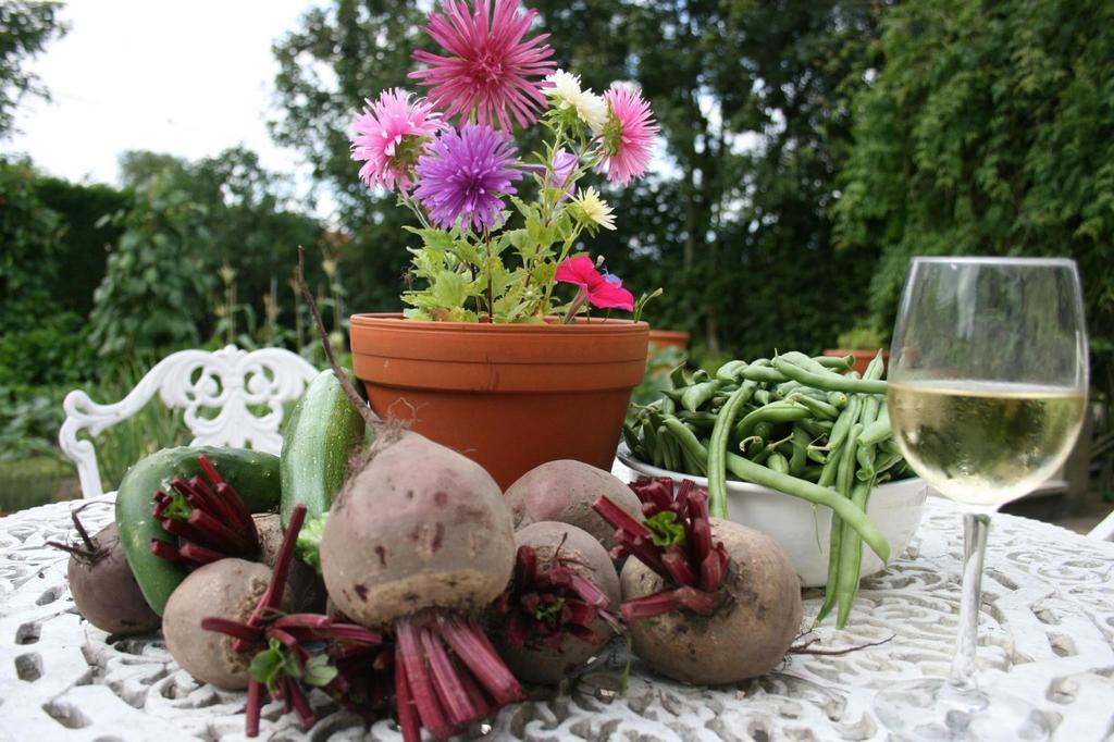 Au Petit Bled Bed and Breakfast Hermelinghen Buitenkant foto